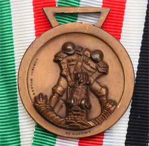 Italien German African Campaign Medal