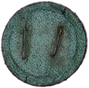 green lizard-skin backing