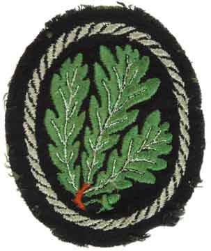 Jager (Light Infantry) Division Sleeve Patch