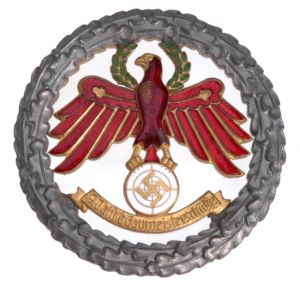 9 Year Gau Shooting Master Badge