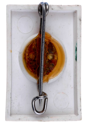 Helft uns Helfin! (You helped us help)