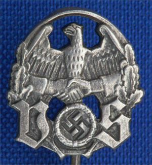 VS Organization Membership Stickpin