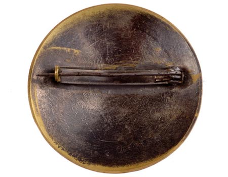 horizontal steel pin