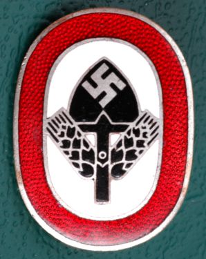 RAD Membership Enamel Pin