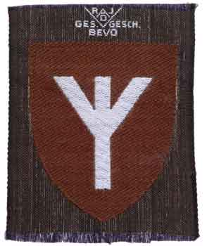 1943 RAD Health Specialist Sleeve Patch