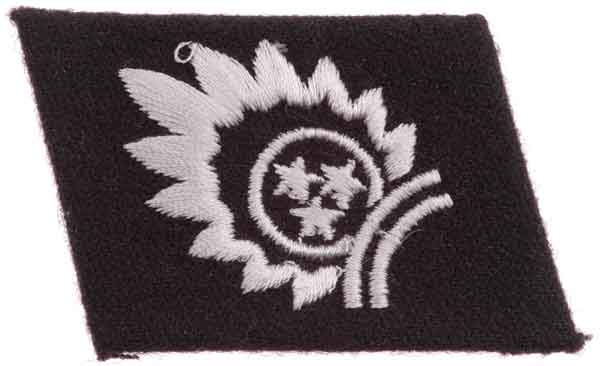 Waffen SS EM Latvian Collar Tab