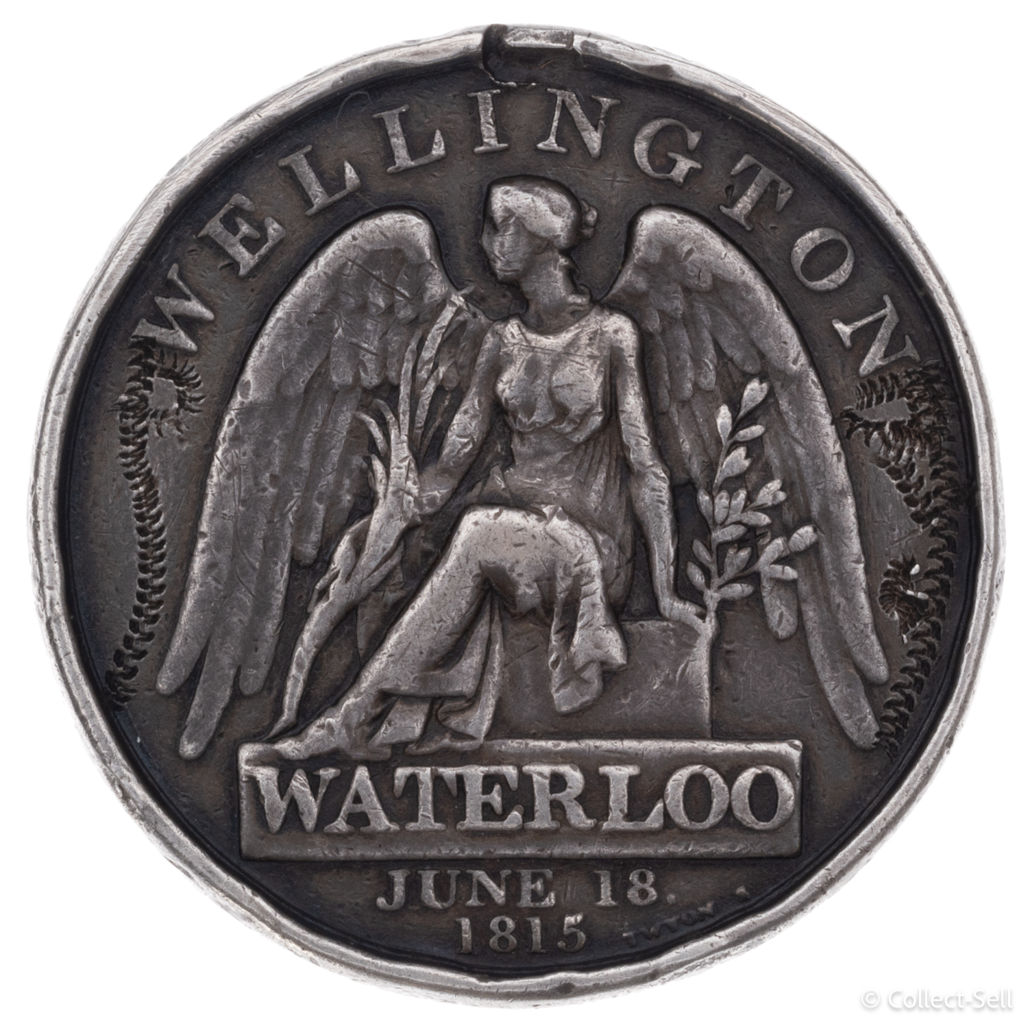 12 0221 Wellington Waterloo Medal 2